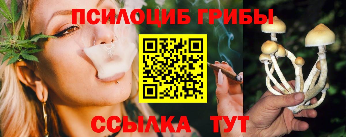 Каменка  Псилоцибиновые грибы Psilocybe  Галлюциногенные грибы Magic Shrooms  Вход с VPN 